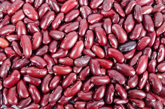 wasche-die-kidneybohnen-aus-der-dose-um-die-schle-cc0-pixabay-publicdomainpictures-220818_download Wasche die Kidneybohnen aus der Dose, um die schleimige Konsistenz zu entfernen.