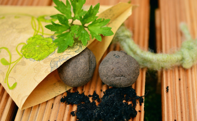 mit-seed-bombs-koennen-kinder-bienenfreundliche-wie-cc0-pixabay-congerdesign-210723_download Mit Seed Bombs können Kinder bienenfreundliche Wiesenblumen wachsen lassen.
