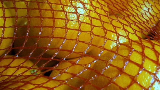 orangen-im-netz-cc0-pixabay-eukalyptus-240930 Orangen im Netz