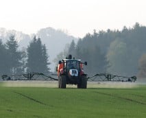 Pestizide: Wissenswertes zu Herbiziden, Fungiziden und Insektiziden