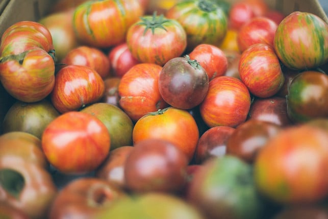 Tomaten gibt es in vielen unterschiedlichen Varianten Tomaten gibt es in vielen unterschiedlichen Varianten