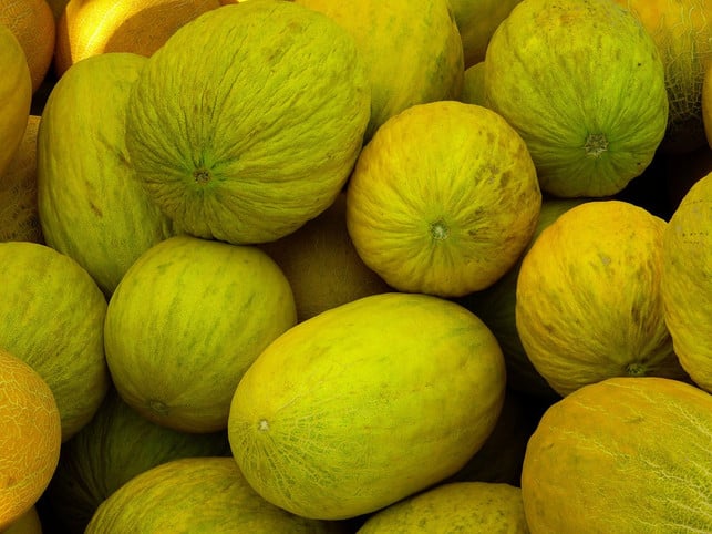 auch-die-honigmelone-zaehlt-in-deutschland-zu-den-b-cc0-pixabay-loggawiggler-220803_download Auch die Honigmelone zählt in Deutschland zu den bekanntesten Melonensorten.