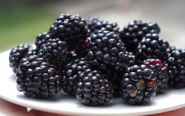blackfood-brombeere-pb-ajale-170329-1280x800