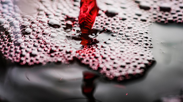 rotwein-cc0--pixabay---251204 Rotwein