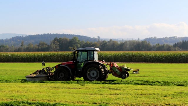kurviges-maehen-cc0--pixabay--markus53-250730 kurviges Mähen