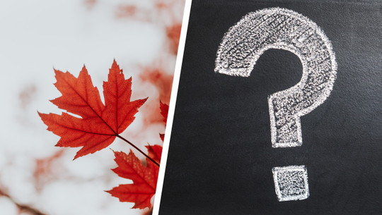 blaetterquiz-einfuegen-bitte-231117 Blätterquiz