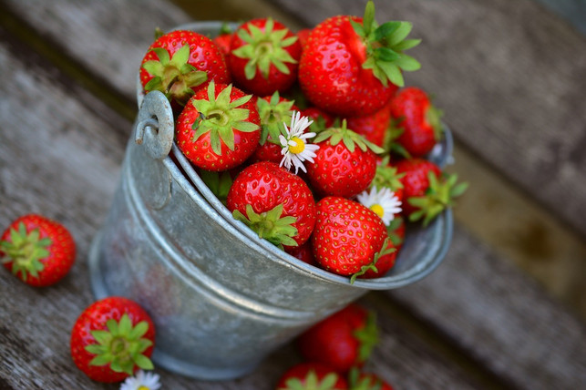 erdbeeren-sind-die-perfekte-grundlagen-fuer-einen-g-cc0-pixabay-congerdesign-180904_download Erdbeeren sind die perfekte Grundlagen für einen gesunden und leichten Sommerkuchen.