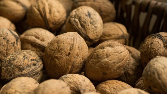 walnuesse-trocknen-cc0-pixabay-jantemmel-230116 walnüsse trocknen