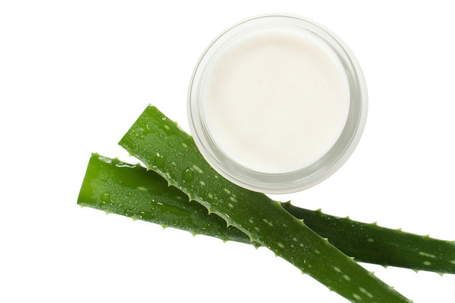 dank-seiner-pflegenden-eigenschaften-wird-aloe-ver-cc0-pixabay-difotolife-200702_download Aloe-vera-Gel lindert Juckreiz und wirkt feuchtigkeitsspendend.