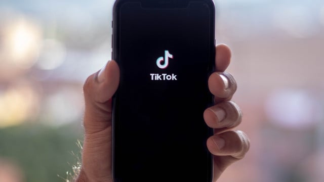 tiktok-brain-cc0-pixabay-lolo_btl-241122 tiktok brain