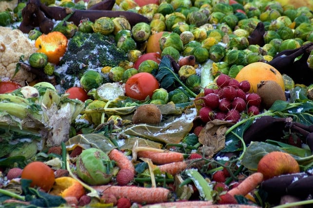 um-das-moeglichst-zu-vermeiden-solltest-du-obst-un-cc0-pixabay-domeckopol-210330_download Um das möglichst zu vermeiden, solltest du Obst und Gemüse richtig lagern.