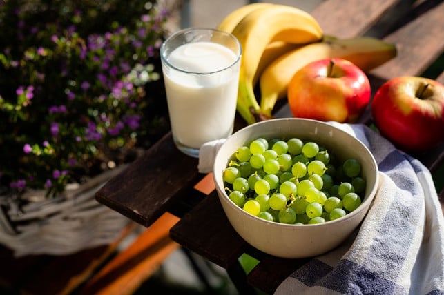 auch-a2-milch-von-der-kuh-kann-teil-einer-gesunden-cc0-pixabay-jan_photo-220510_download Auch A2-Milch von der Kuh kann Teil einer gesunden Ernährung sein.