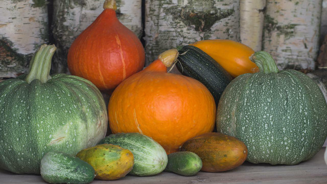 Neben Wassermelone sind auch Kürbis und Gurke natürliche Citrulin-Quellen.