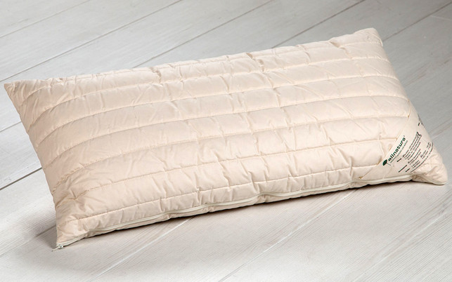 Kissen-Allnatura-Kamelhaar-z-1280x800 Kamelflaumhaar-Kissen "Cammello"