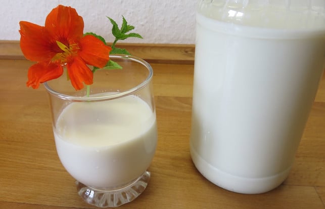selbst-gemachte-mandelmilch-bereit-zum-servieren-k-inerle-utopia-170623 Selbst gemachte Mandelmilch kannst du direkt verzehren oder in anderen Rezepten weiterverarbeiten.