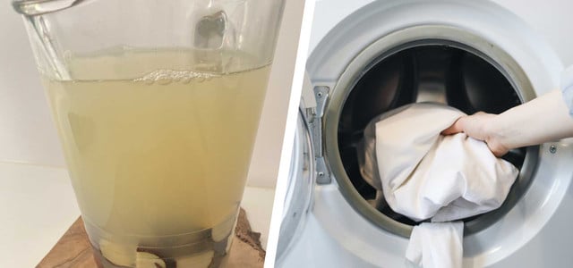 Rezept DIY Waschmittel aus Kastanien selber machen: So geht's
