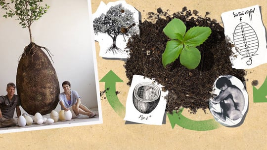 oeko-bestattung-z-capsulamundi-170801-1280x600 Capsula Mundi: Öko-Bestattung