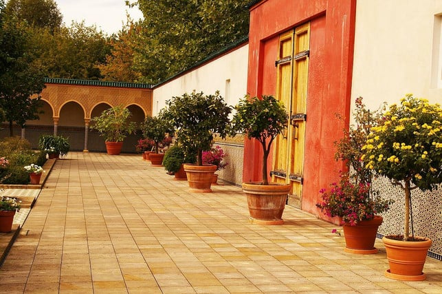 das-umtopfen-eines-olivenbaums-geht-am-besten-zu-z-cc0-pixabay-kriemer-220519_download Das Umtopfen eines Olivenbaums geht am besten zu zweit.