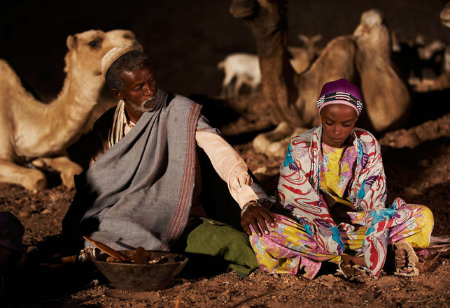 wuestenblume-ist-die-autobiografie-der-somalische-majesticwalter-wehner-211220_download "Wüstenblume" ist die Autobiografie der somalischen Frauenrechtler:in Waris Dirie.