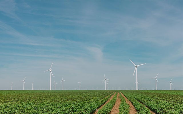 matthew-t-rader-unsplash_640x400 grünes Geld nachhaltige Geldanlage Finanzen