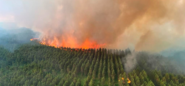 Wald Brand Klimawandel