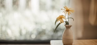 Blumenvase reinigen