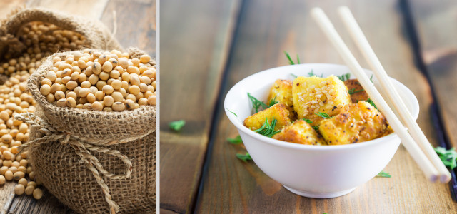 soja-w-Adiano-ruslan_100-160707-1280x600 Soja: vielseitiger Fleischersatz, auch regional