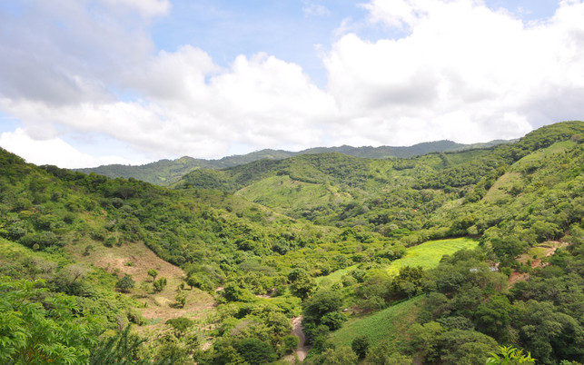 PRIMAKLIMA_Nicaragua_Projektgebiet Waldschutz