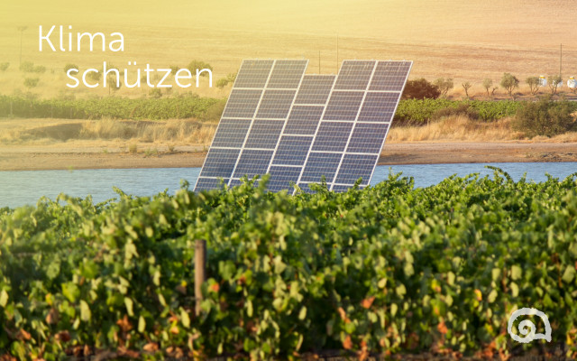 Nachhaltigkeit bei Wein