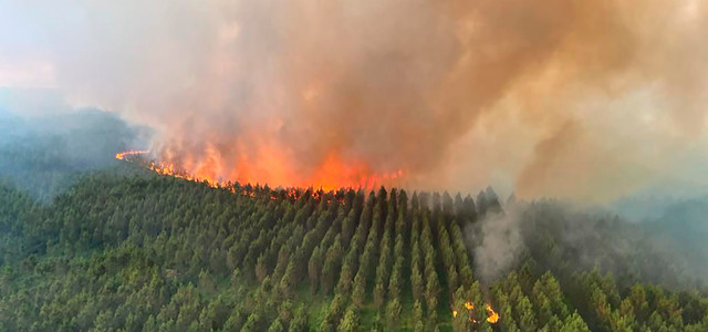 Frankreich, Landiras: Dieses von der Feuerwehr der Region Gironde (SDIS 33) zur Verfügung gestellte Foto zeigt einen Flächenbrand. Mehrere hundert Feuerwehrleute bemühten sich zwei Waldbrände in der Region Bordeaux einzudämmen, die 10.000 Menschen zur Evakuierung gezwungen und mehr als 7000 Hektar Land verwüstet haben. Hohe Temperaturen und starke Winde haben die Löscharbeiten in der Region erschwert, die in dieser Saison von mehreren Waldbränden in Europa heimgesucht wird.