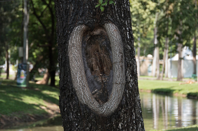 franzoesische-verbaende-und-feministinnen-setzen-si-cc0-pixabay-lustysecrets-220216_download Französische Verbände und Feminist*innen setzen sich für eine realistische Darstellung der weiblichen Klitoris in Schülbüchern ein.