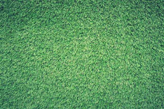 in-einer-dichten-grasnarbe-kann-sich-die-gemeine-r-cc0-pixabay-pexels-211018_download In einer dichten Grasnarbe kann sich die Gemeine Rispe nicht gut ausbreiten.