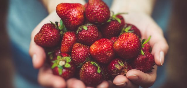 Erdbeeren haltbar machen