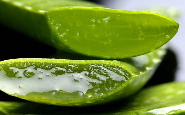 indem-du-ein-grosses-saftiges-blatt-der-aloe-vera-a-cc0-pixabay-casellesingold-181225 Indem du ein großes saftiges Blatt der Aloe Vera abschneidest, kannst du neue Ableger erzeugen.