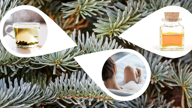 Weihnachtsbaum-verwerten-1280x720 Weihnachtsbaum-upcyceln