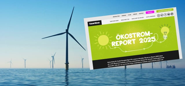 Robin Wood Ökostromreport 2025