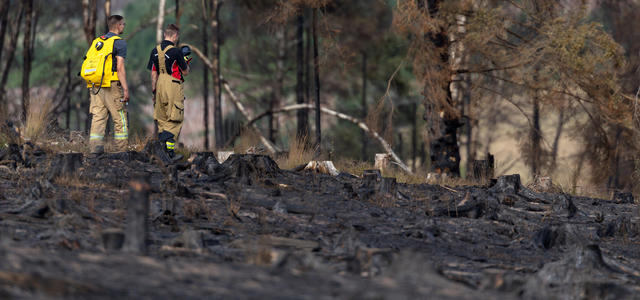 Waldbrand