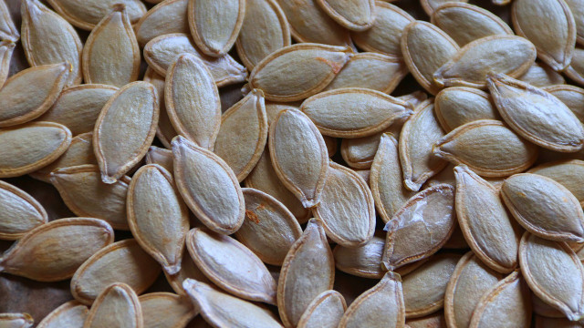 Kürbiskerne mit Schale essen: Geht das? - Utopia.de Kürbiskerne mit Schale essen: Geht das? - Utopia.de