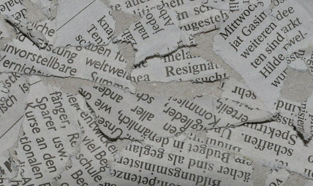 mit-einem-angefeuchteten-zeitungspapier-kannst-du-cc0-pixabay-pezibear-211126_download Mit einem angefeuchteten Zeitungspapier kannst du die Kugelkäfer anlocken.