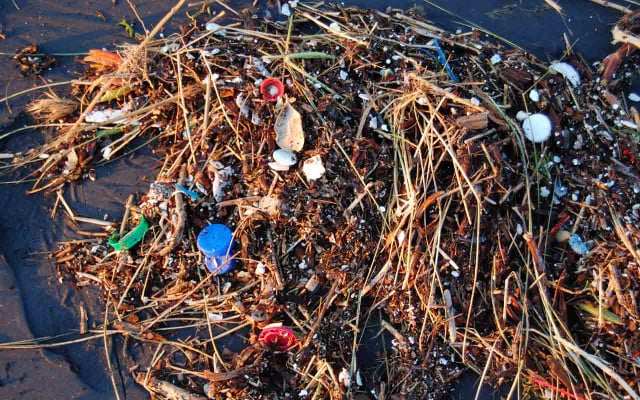 150722-plastikmuell-kleinteile-strand-x_plastic-ocean_-Kevin-Krejci_cc-by-2.0_1280x800 An kleinen Plastikteilen wie diesen verenden immer mehr Meereslebewesen