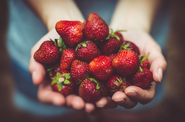 erdbeeren-einfrieren-ganze-fruechte-oder-pueree-cc0-pixabay-pexels-180701_download Erdbeeren kannst du einfach einfrieren, entweder als ganze Früchte oder Püree.