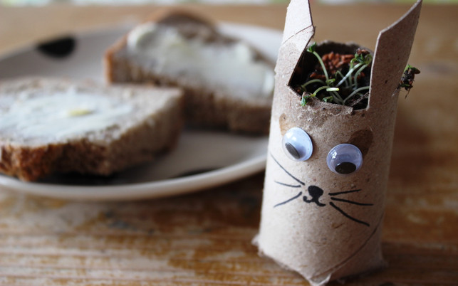 ostergeschenke-05-kressehase-p-katharina-bliem-170306-1280x600 Upcycling von Klopapierrollen: Osterhase mit Kresse-Haaren