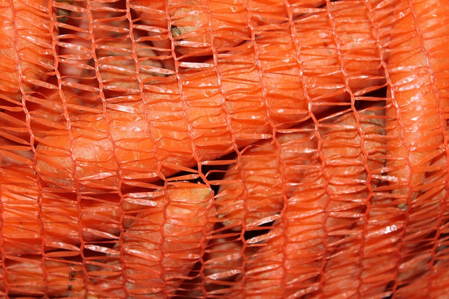 gekaufte-karotten-koennen-bei-richtiger-lagerung-bi-cc0-pixabay-kalhh-240730_download Gekaufte Karotten können bei richtiger Lagerung bis zu 14 Tage frisch bleiben.