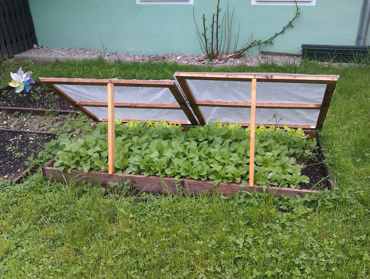 Mulchen: Warum das im Garten oft sinnvoll ist - Utopia.de