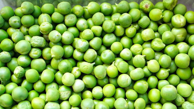 ein-unterschied-zwischen-erbsen-und-bohnen-betriff-cc0-pixabay-matthiasboeckel-240812_download Ein Unterschied zwischen Erbsen und Bohnen betrifft etwa ihren Proteingehalt.