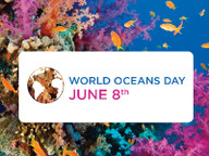 Welttag des Meeres #worldoceansday Welttag der Meere: am 8. Juni! #worldoceansday