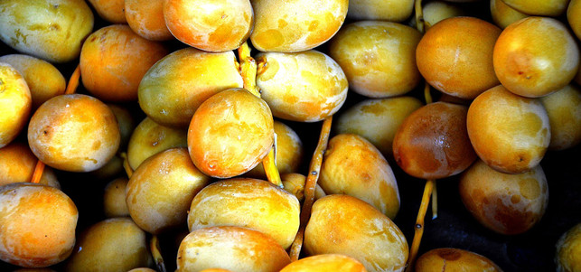 datteln-frisch-pb-PIRO4D-170411-1280x600 frische Datteln