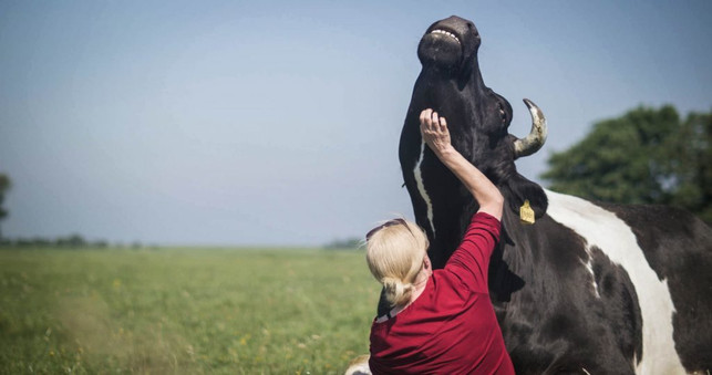 butenland-film-ueber-einen-aussergewoehnlichen-bauer-mindjazz-pictures-presse-201113_download Butenland: Film über einen außergewöhnlichen Bauernhof.
