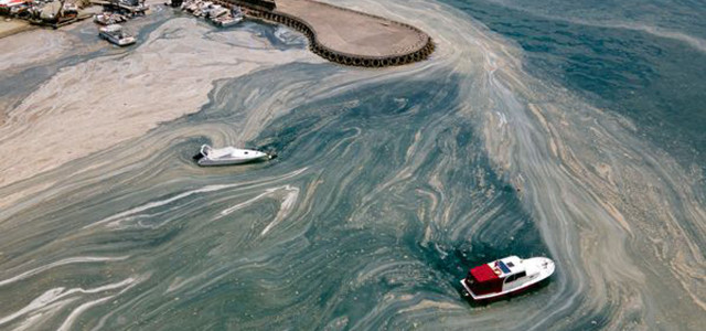 Experte zu Marmarameer: Schleim richtet irreversible Schäden an.