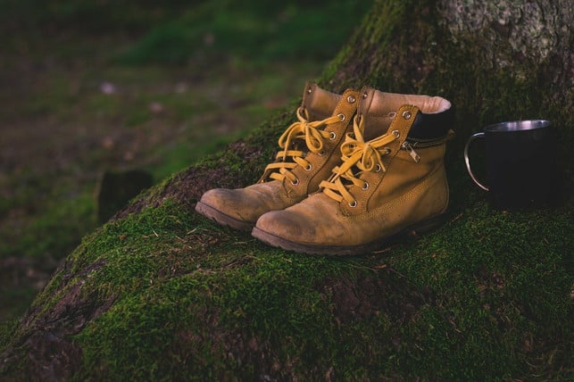 Eacht-Den-Wald-Denn-TUT-GUTES-CC0-PIXABAY-LUM3N-1010930_Download Since the forest is good for you, you should also pay attention to it.